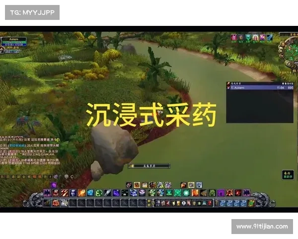 魔兽世界3:全屏大小视频调整,让你的游戏体验更加沉浸